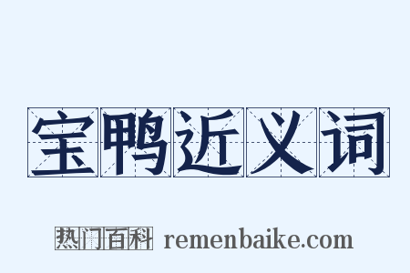 宝鸭近义词是什么意思的图片